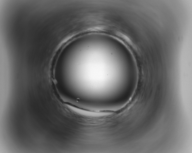 X0000099961308200805231333