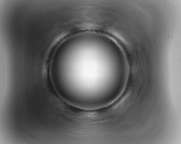 X0000099961309200805231333