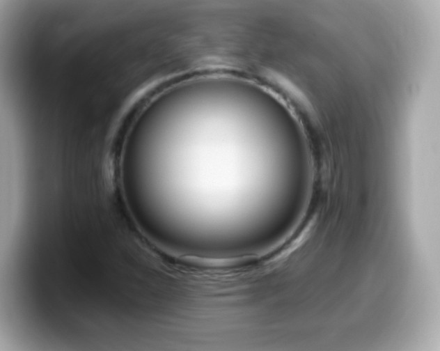 X0000099961310200805231333