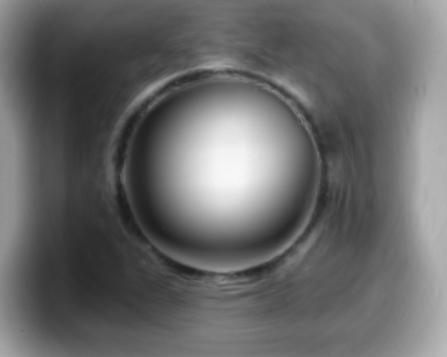 X0000099961311200805231333