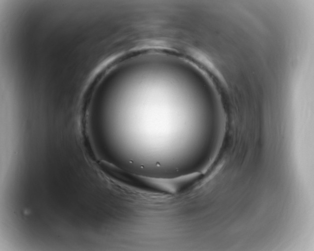 X0000099961312200805231333