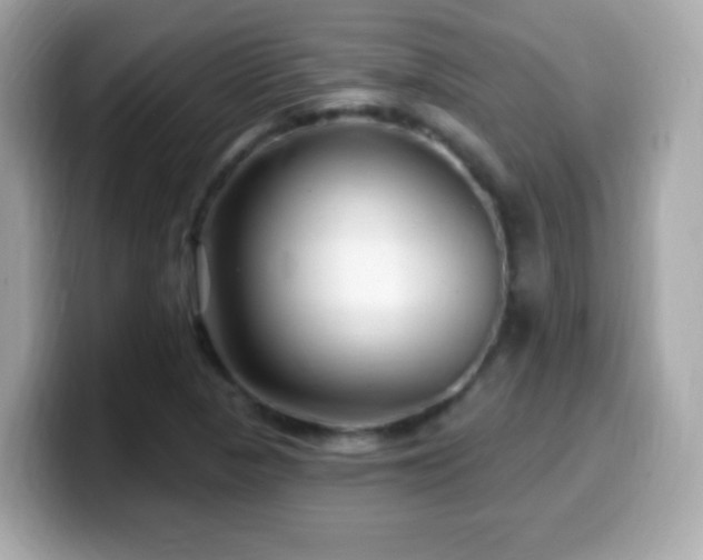 X0000099961313200805231333