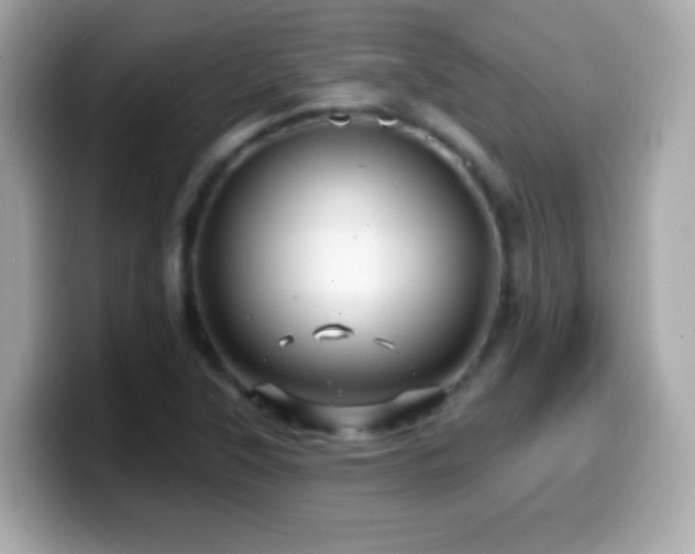 X0000099961315200805231333
