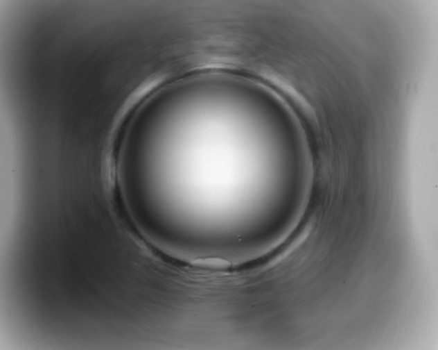 X0000099961317200805231333