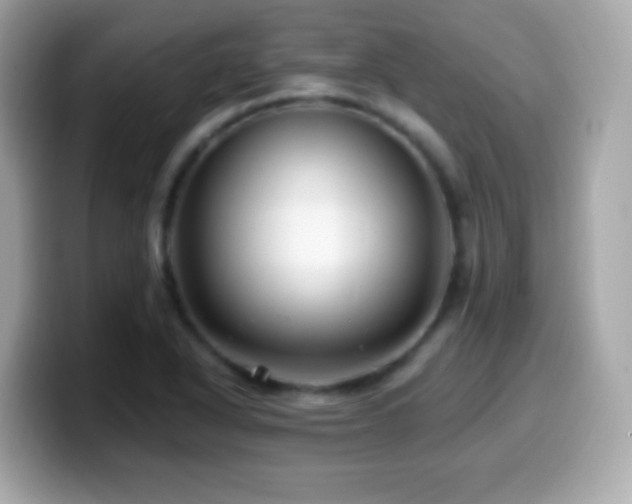 X0000099961318200805231333