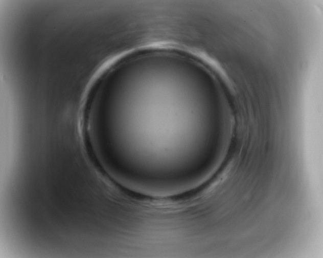 X0000099961319200805231333