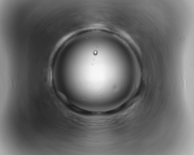 X0000099961320200805231333