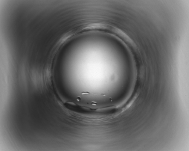 X0000099961321200805231333