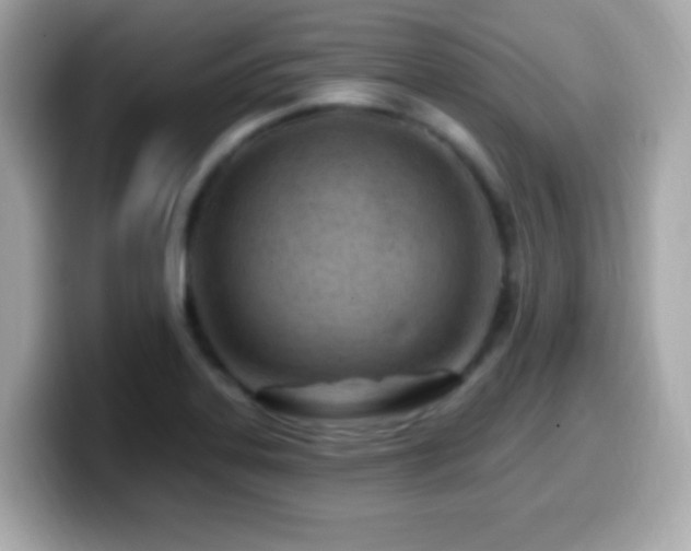 X0000099961323200805231333