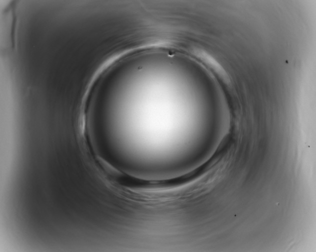 X0000099961324200805231333