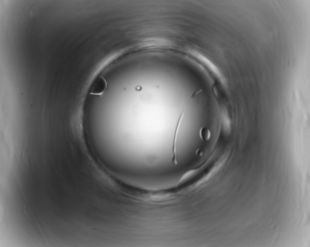 X0000099961325200805231333