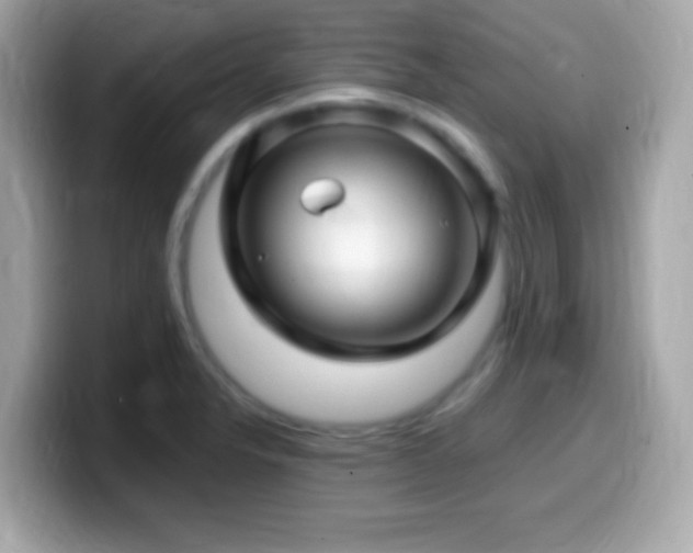X0000099961326200805231334