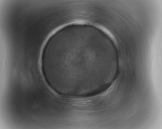 X0000099961327200805231334