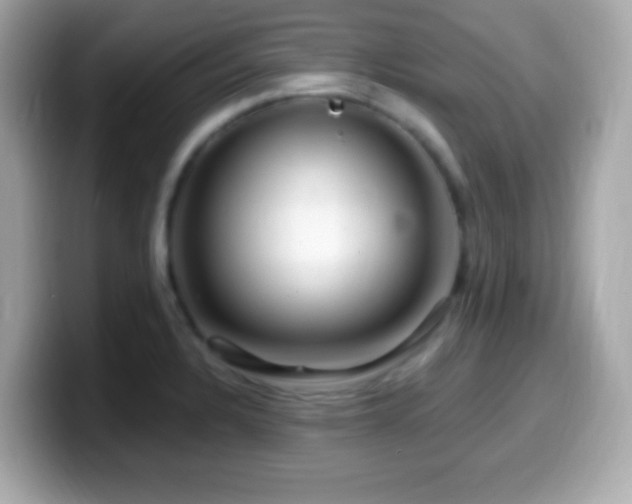 X0000099961328200805231334