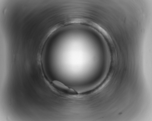 X0000099961329200805231334