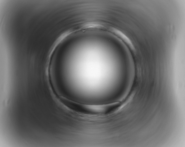 X0000099961330200805231334