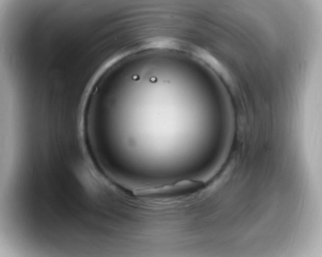 X0000099961331200805231334