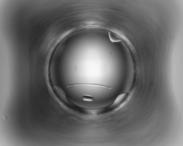 X0000099961333200805231334