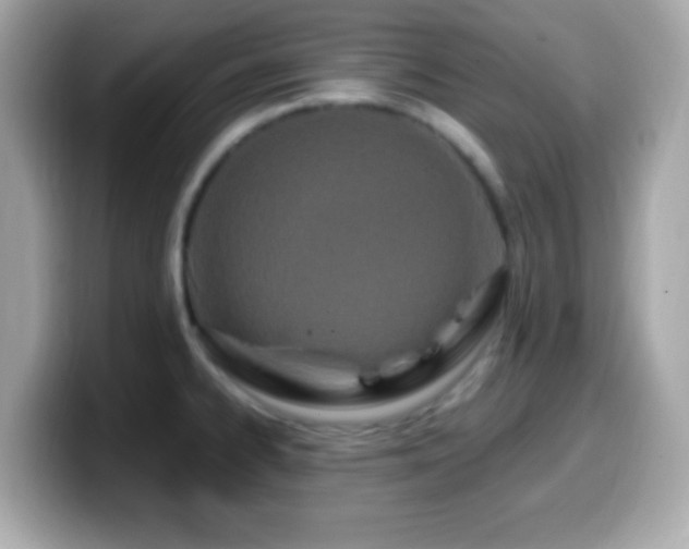X0000099961334200805231334