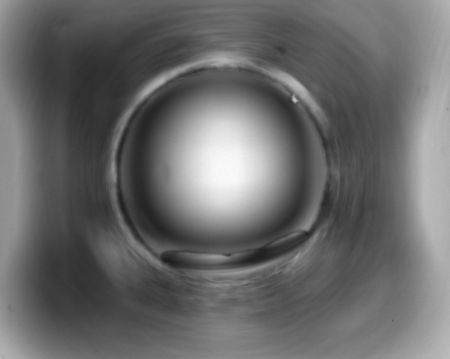 X0000099961335200805231334