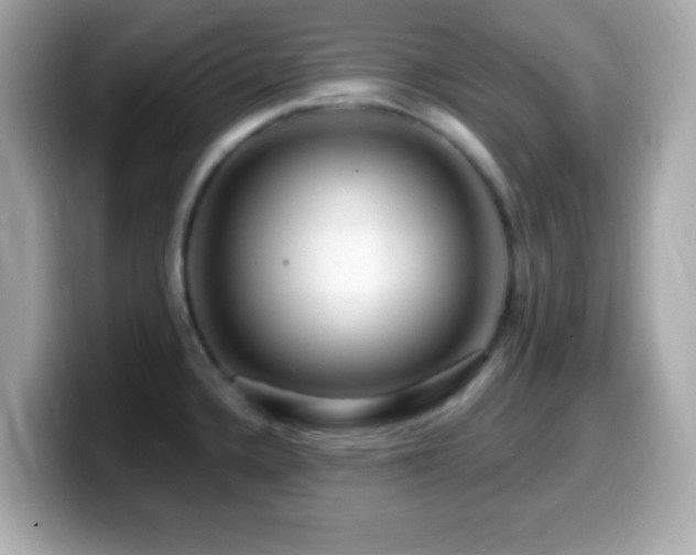 X0000099961336200805231334