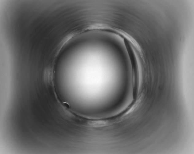 X0000099961337200805231334