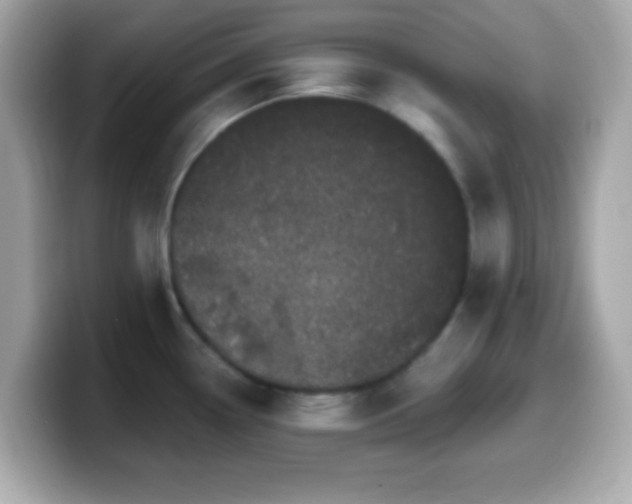 X0000099961338200805231334