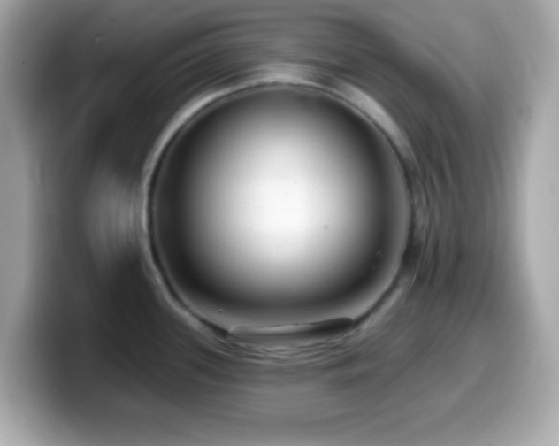 X0000099961339200805231334