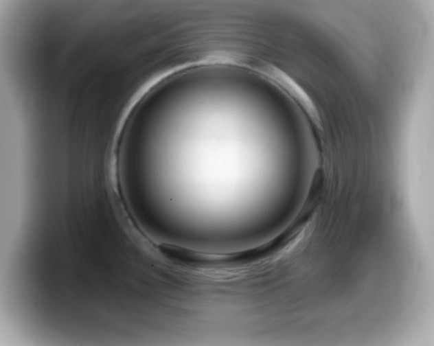 X0000099961340200805231334