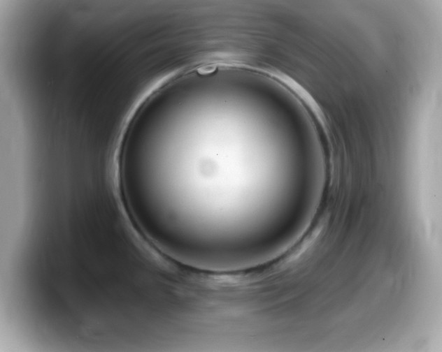 X0000099961341200805231334
