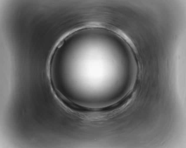X0000099961342200805231334
