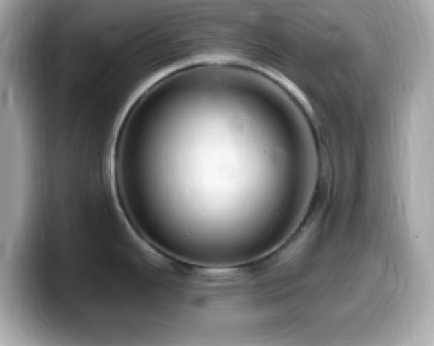 X0000099961343200805231334
