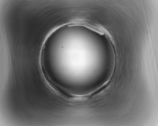 X0000099961344200805231334