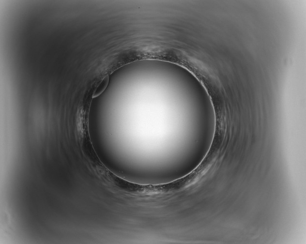 X0000099961346200805231333