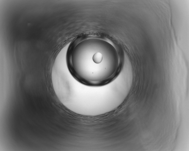 X0000099961348200805231333