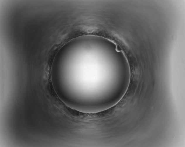 X0000099961349200805231333