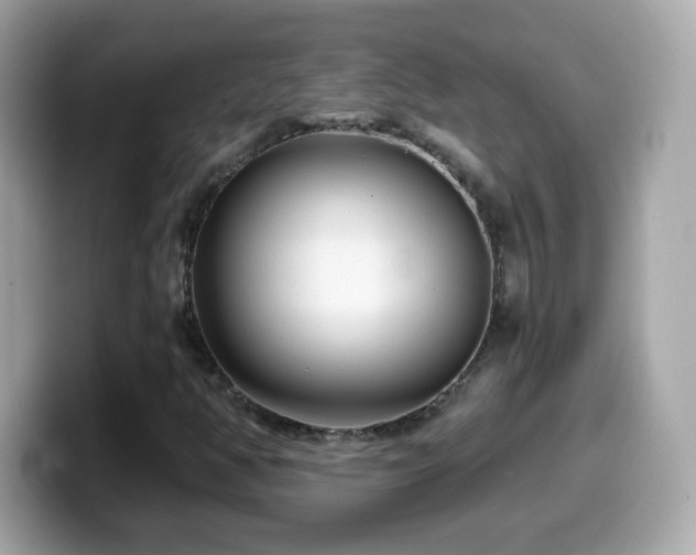 X0000099961350200805231333