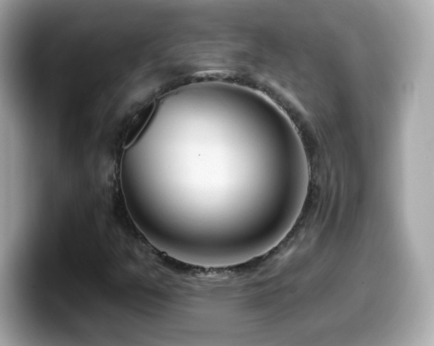 X0000099961351200805231333