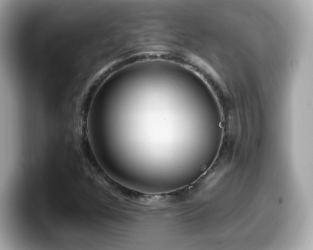 X0000099961352200805231333