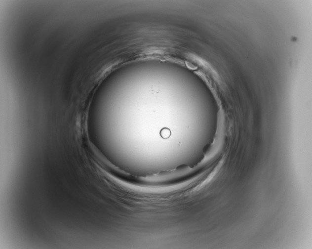 X0000099961353200805231333
