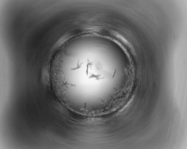 X0000099961354200805231333