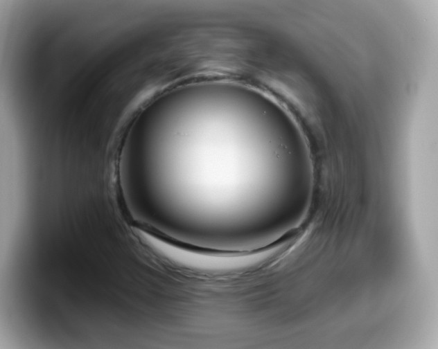 X0000099961355200805231333