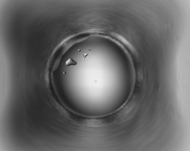 X0000099961356200805231333
