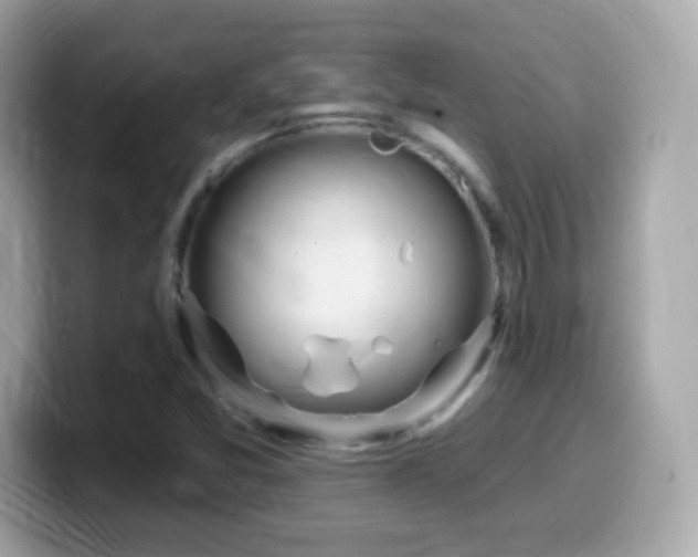 X0000099961357200805231333