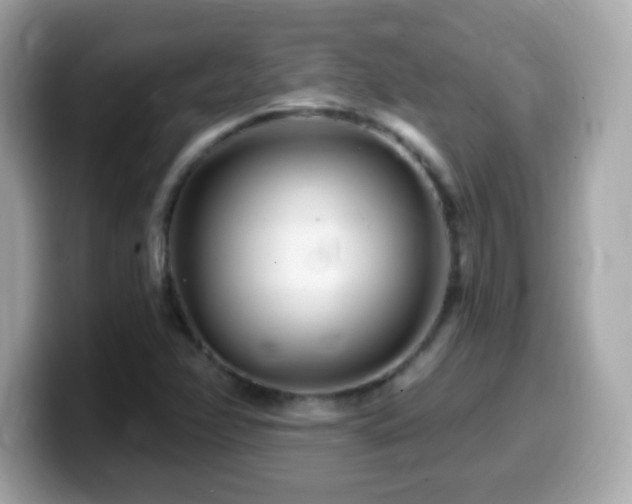 X0000099961358200805231333