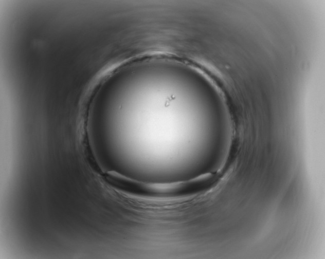 X0000099961359200805231333