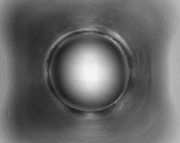 X0000099961360200805231333