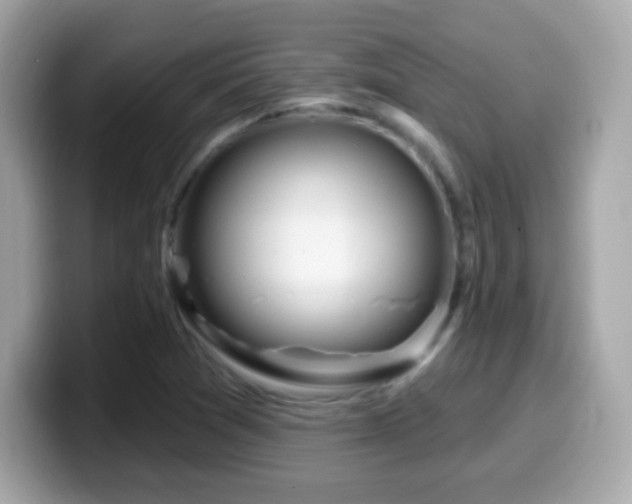 X0000099961361200805231333