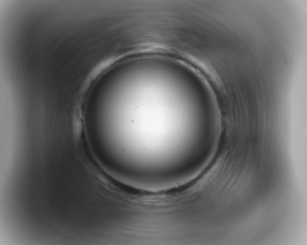 X0000099961363200805231333