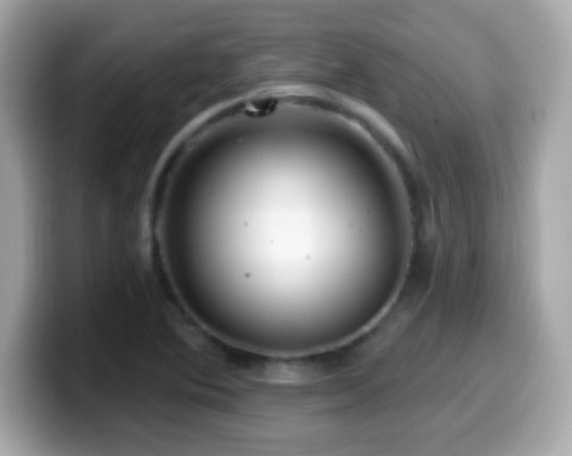 X0000099961364200805231333